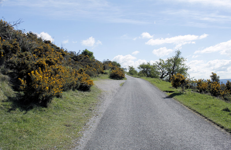 Longstone Edge