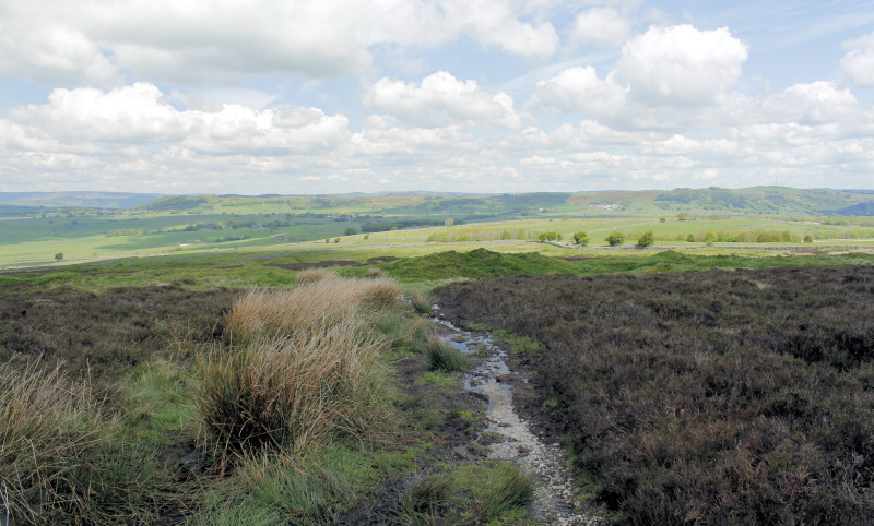 Longstone Moor