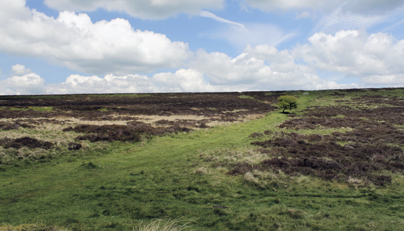 Longstone Moor Longstone Moor