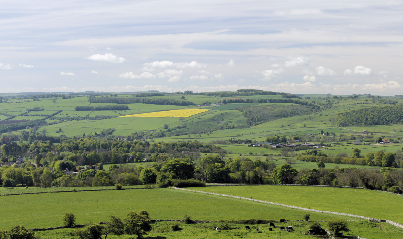 Great Shacklow Wood