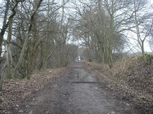 High Peak Trail