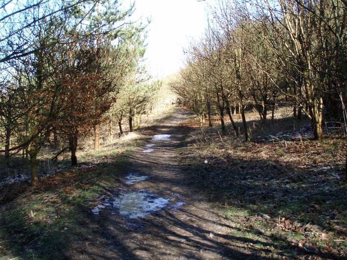Beresford Dale