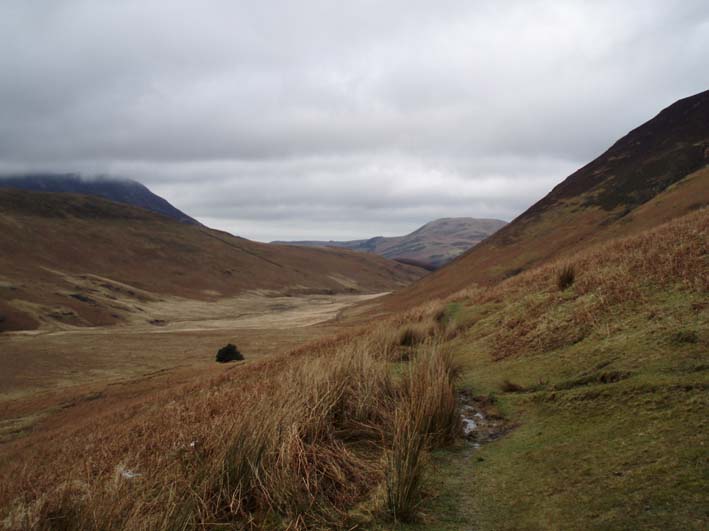 Little Dodd