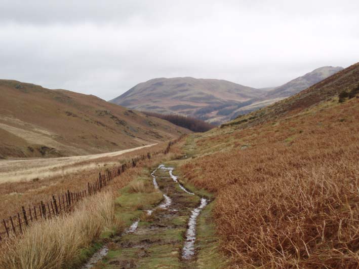 Mosedale