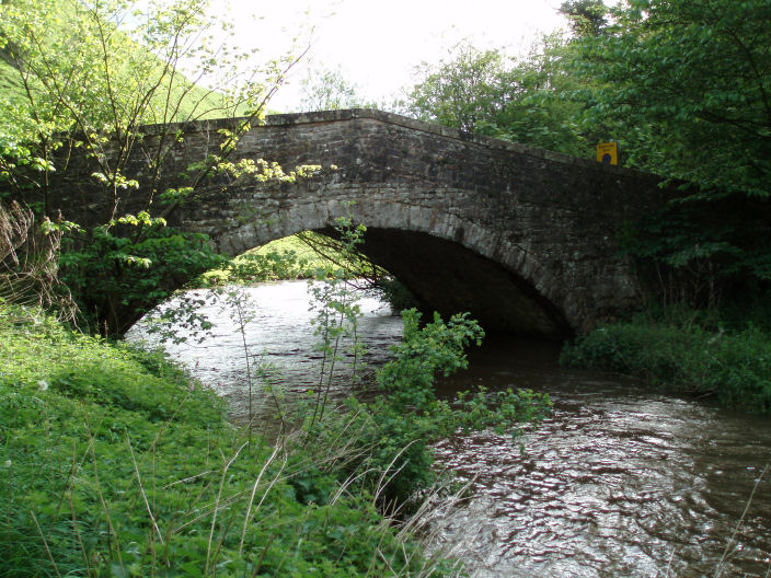 River Dove