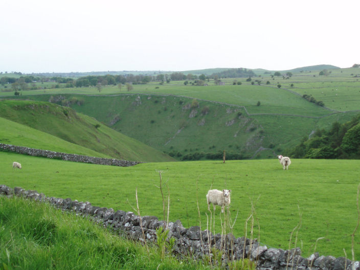 Unnamed dale