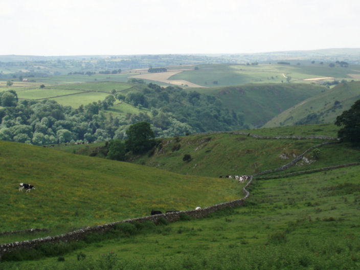 Dove Dale