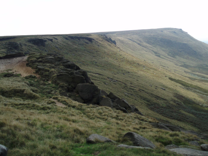 Wilfrey Edge