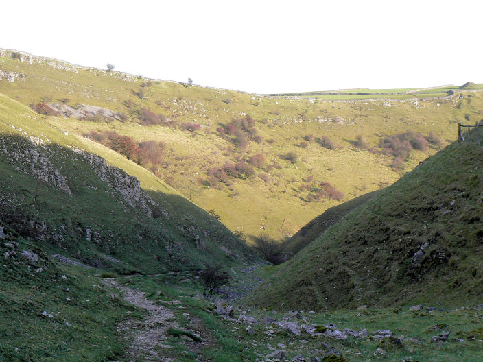 Tansley Dale