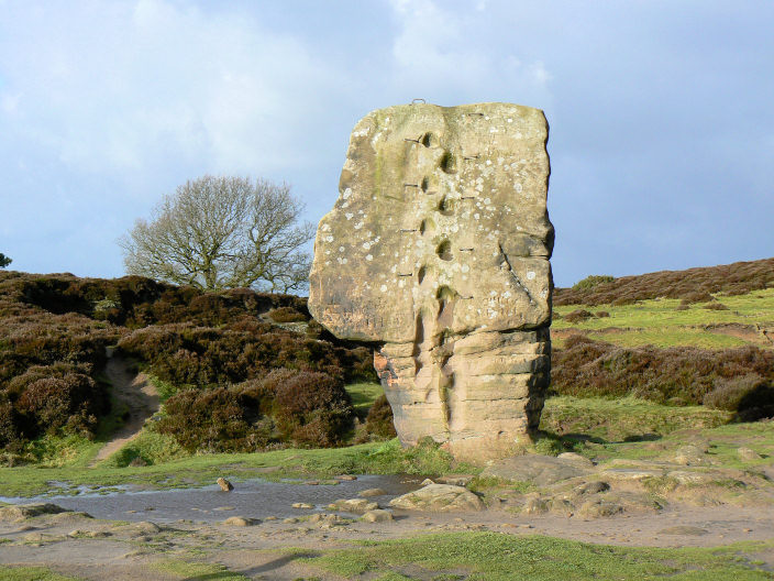Cork Stone
