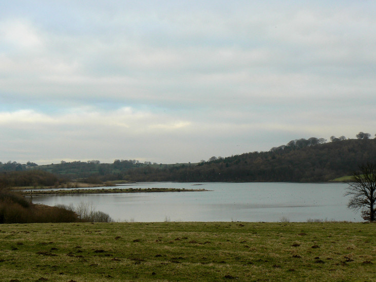 Hall Wood