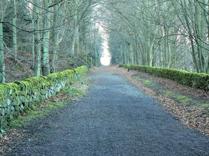 High Peak Trail