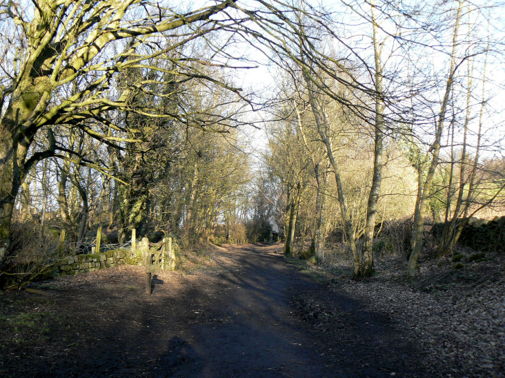 High Peak Trail