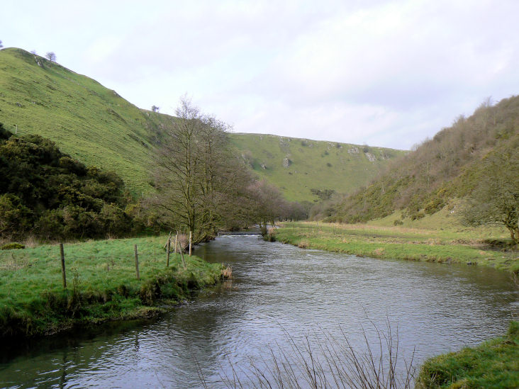 River Dove