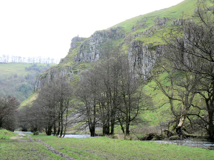 Peaseland Rocks