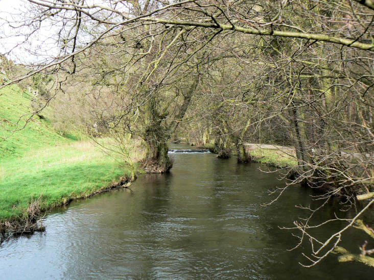 River Dove