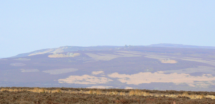Wheel Stones