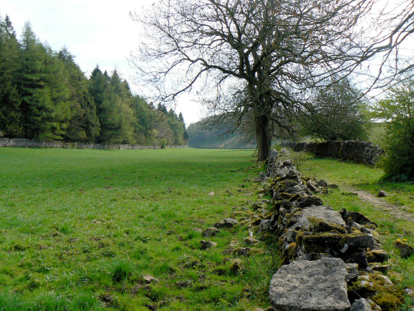Bolderstone Plantation