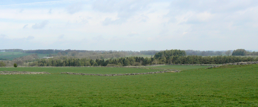 Little Bolderstone Plantation
