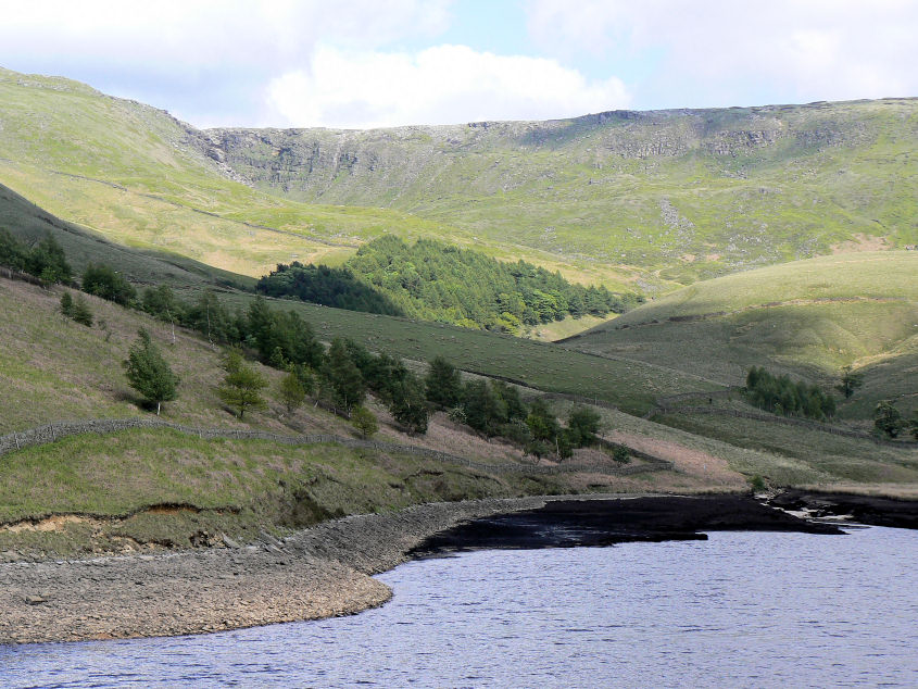Kinder Downfall