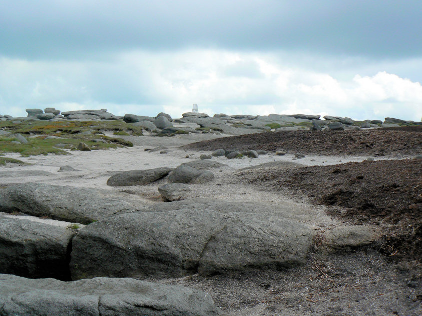 Kinder Low