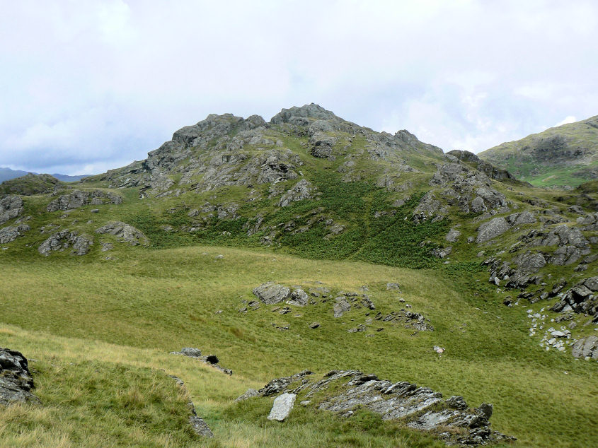 Fox Haw