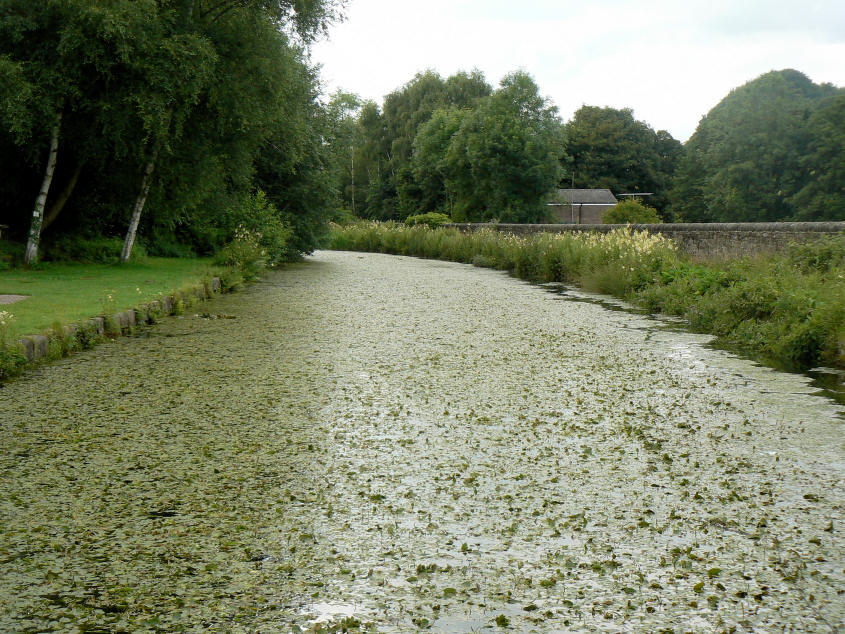 Cromford Canal