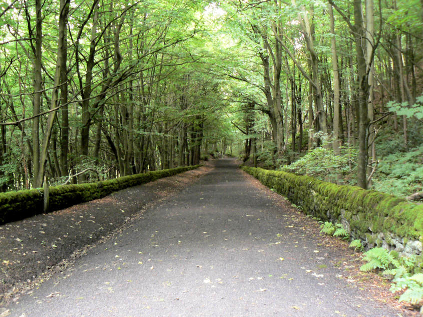 High Peak Trail