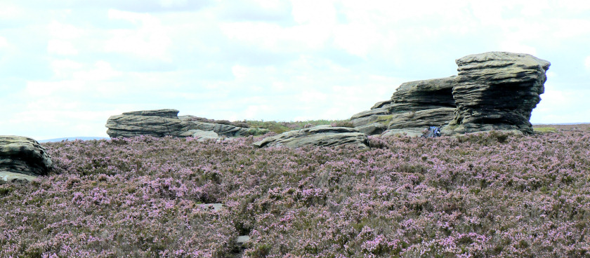 Ox Stones