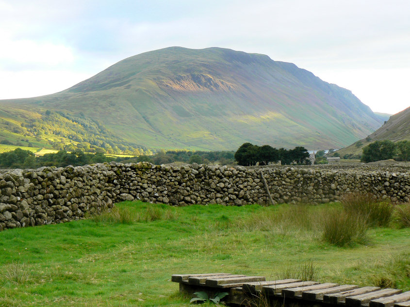 The Screes