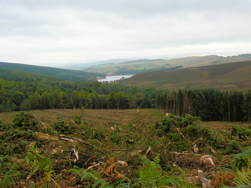 Errwood Reservoir