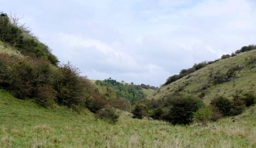 Gratton Dale