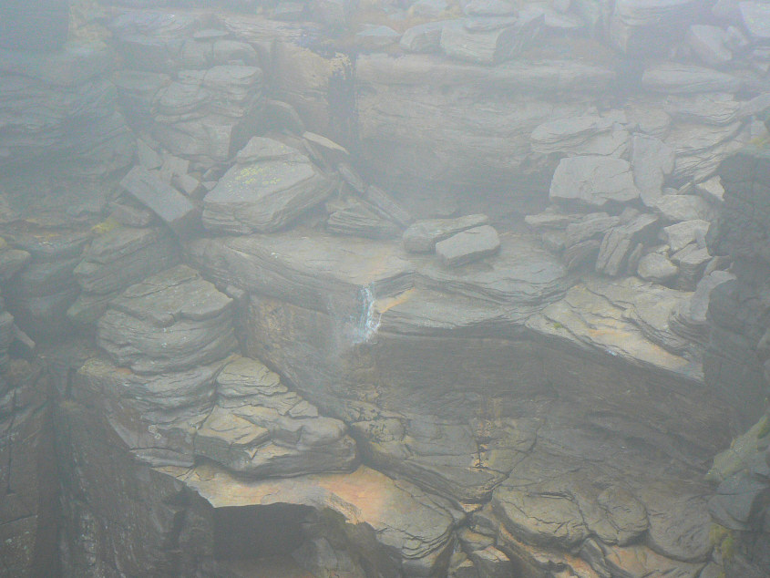 Kinder Downfall