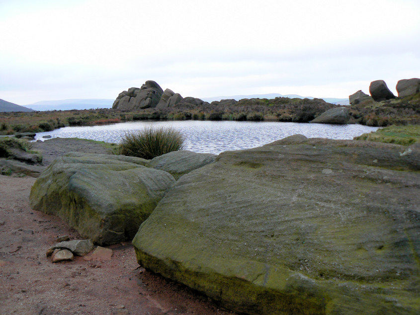 Doxey Pool