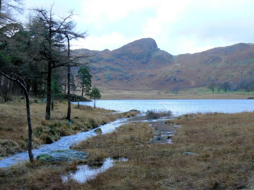 Side Pike