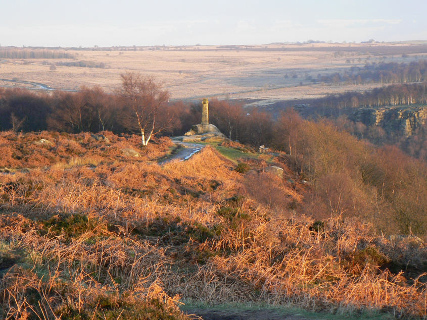 Wellington's Monument