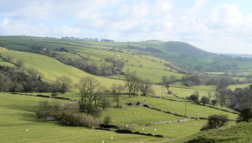Manifold Valley