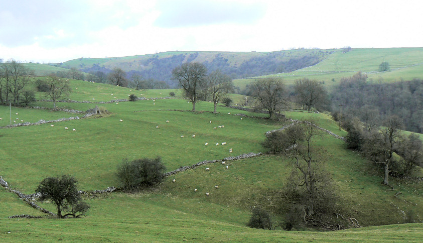Manifold Valley