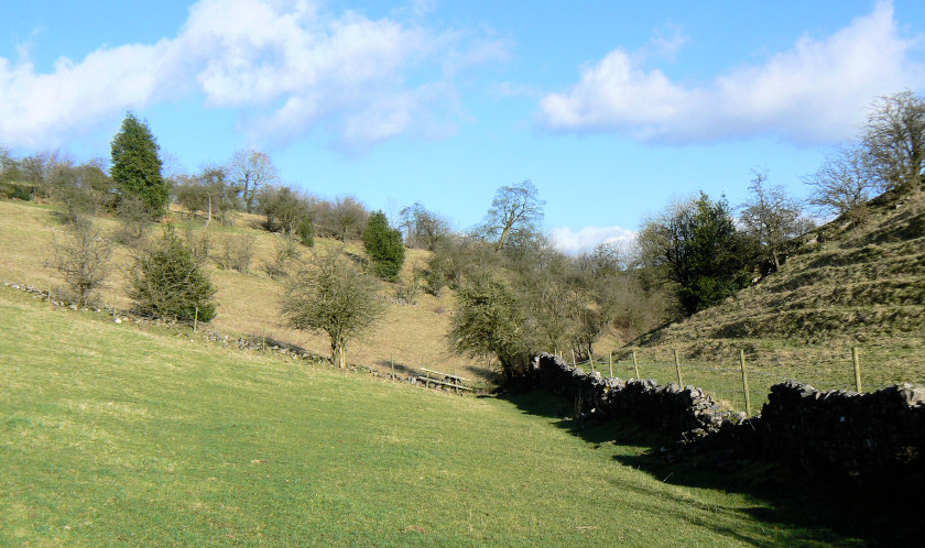 Musden Wood