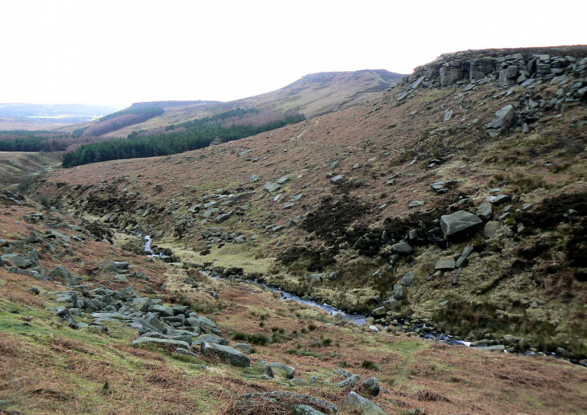 Fiddler's Elbow