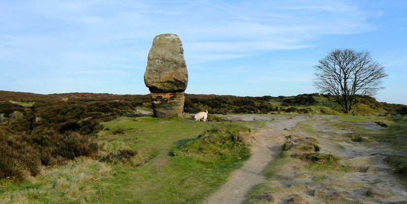Cork Stone