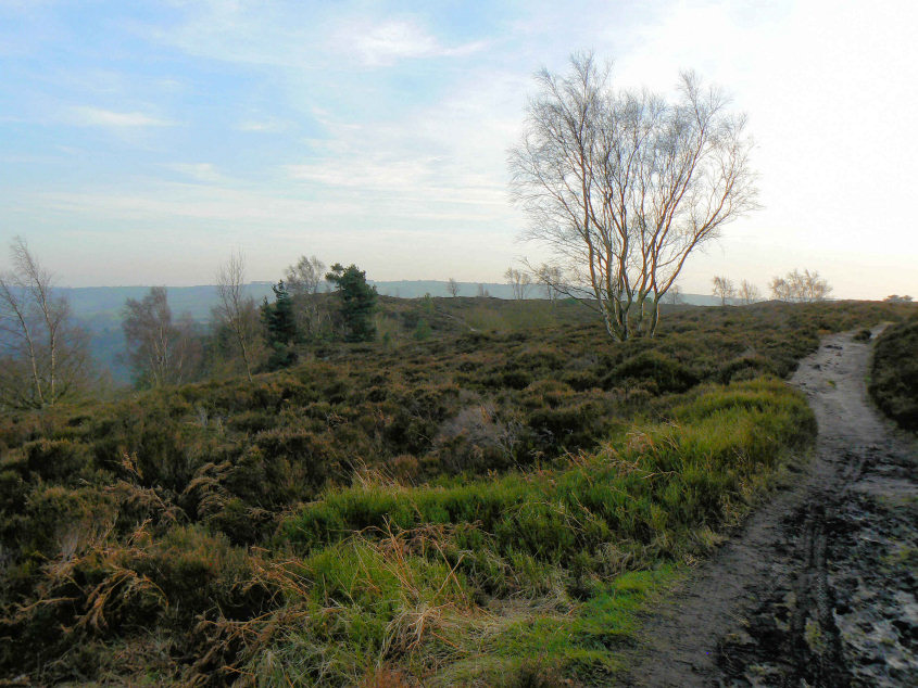 Stanton Moor