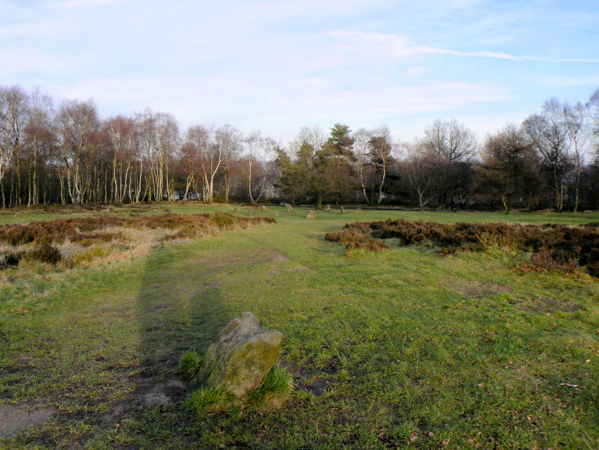 Nine Ladies Stone Circle