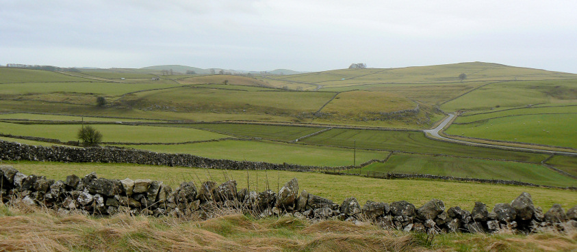 Carder Low