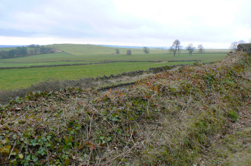 Carsington Pastures
