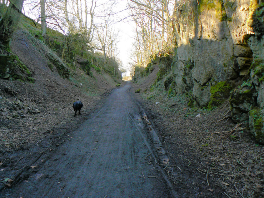 High Peak Trail