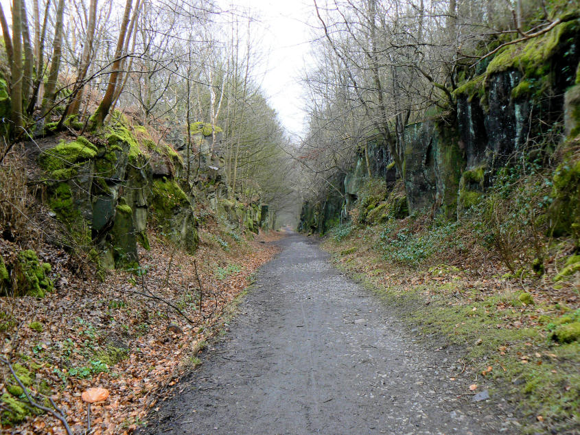 Sheep Pasture Incline