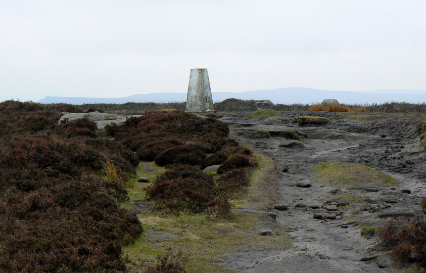 High Neb's trig