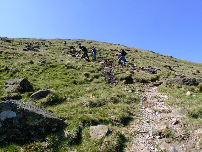 Path Fairies