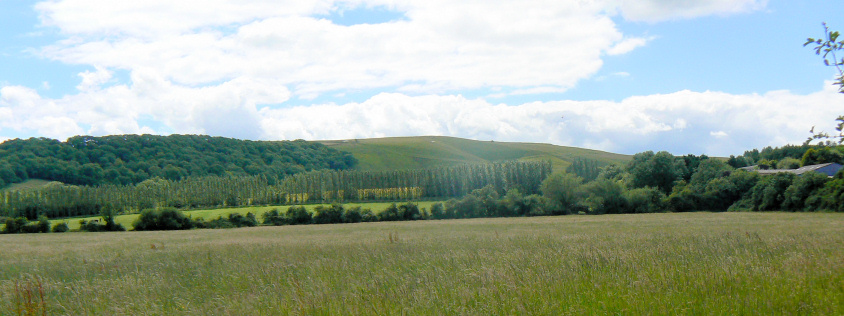 Dragon Hill